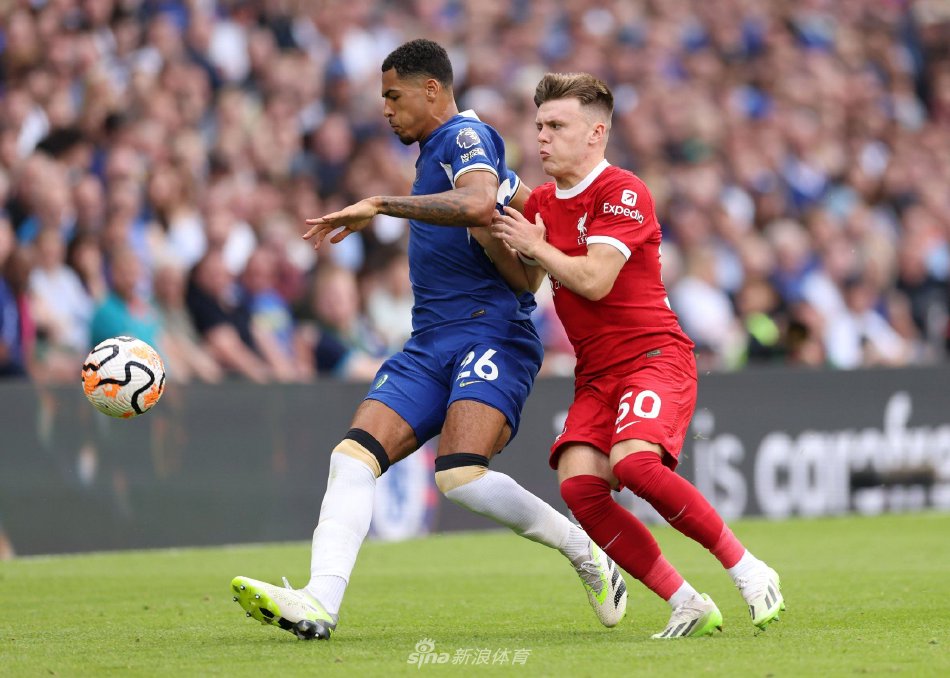 系的中枢 系的中枢